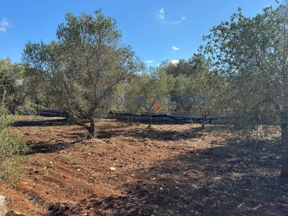 Helårsgrund i Carovigno, Brindisi - foto 3